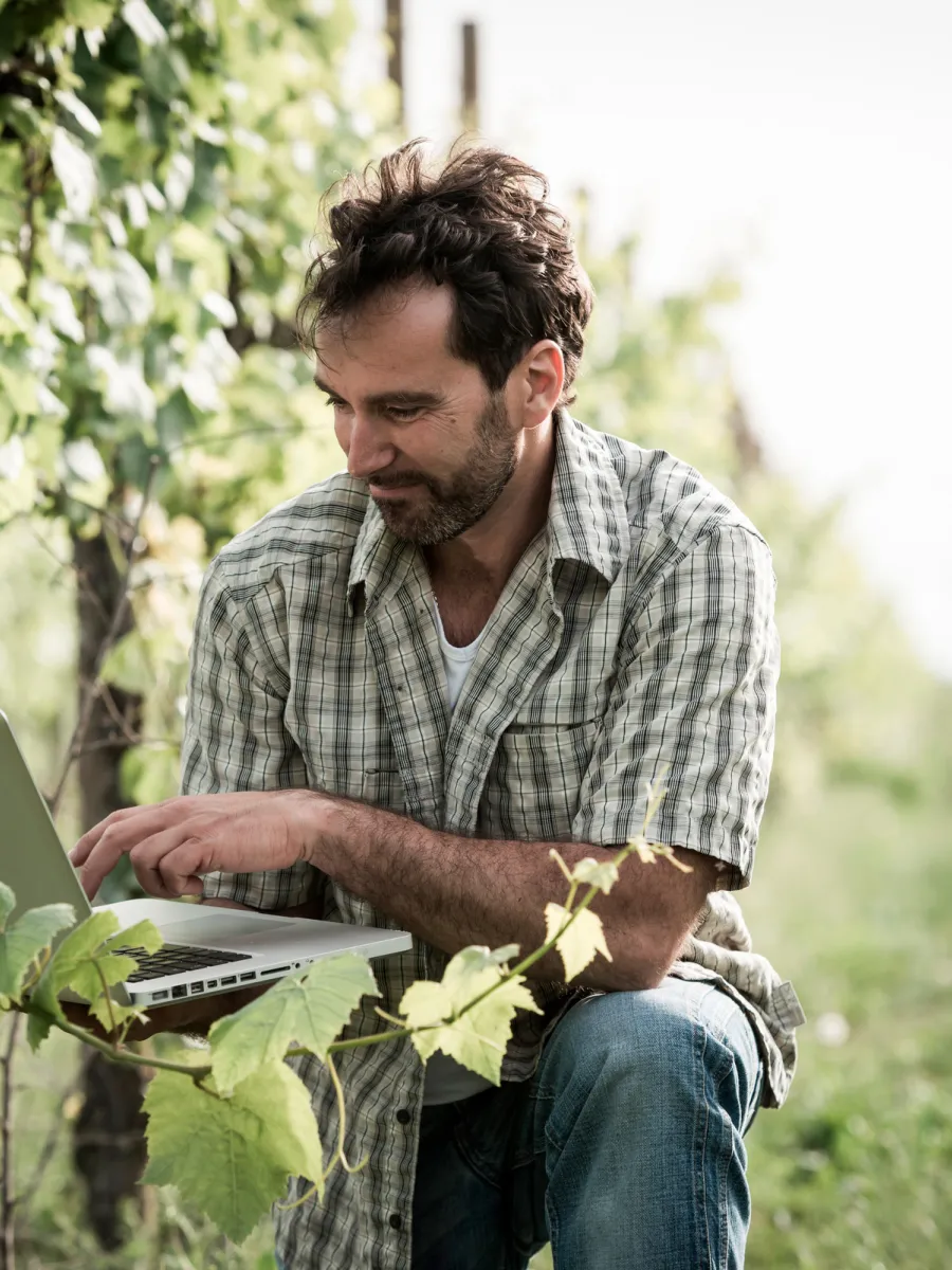 Person mit Laptop im Weinberg